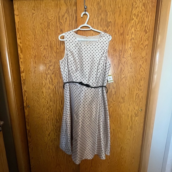 Size 14 Kasper polka dot midi dress with belt. - Picture 2 of 4